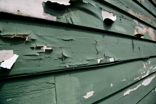Shed Removal in Miller Place, NY