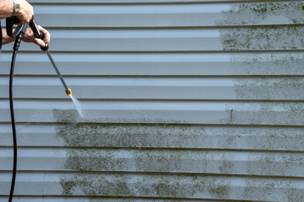 Best Shed Removal  in Miller Place, NY